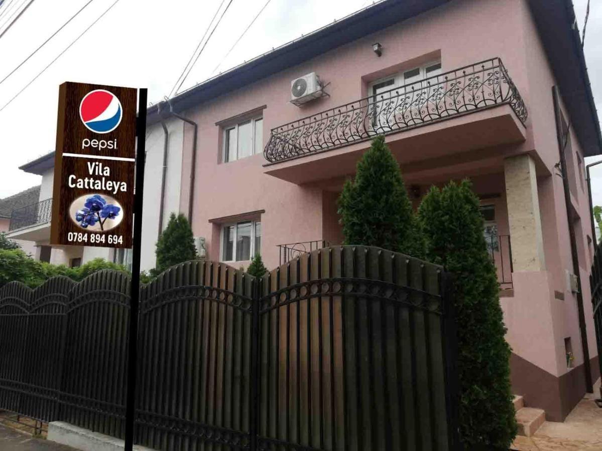 Casa Cattleya Hotel Târgu Jiu Exterior photo
